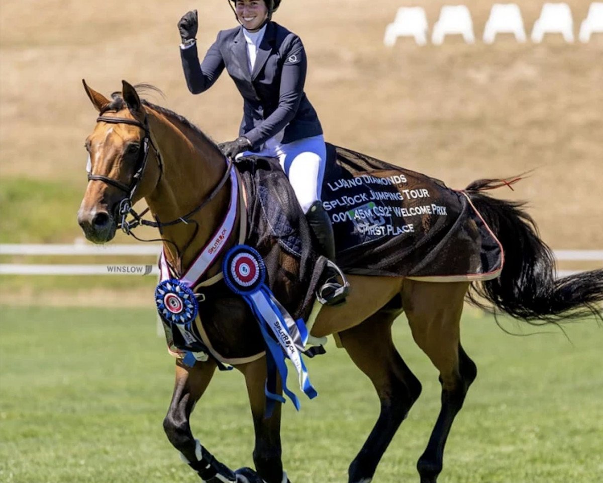 stallion Lavallino Ter Klomp (Belgian Warmblood, 2011, from Clearway)