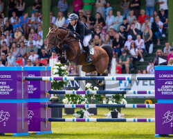 stallion Kasanova de La Pomme (Belgian Warmblood, 2010, from Bamako de Muze)