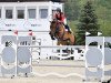 jumper Kenya van de Kleinheide (Belgian Warmblood, 2010, from Thunder van de Zuuthoeve)