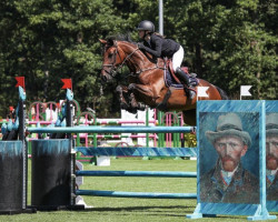 Springpferd Obella Js (Belgisches Warmblut, 2014, von Thunder van de Zuuthoeve)