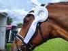 broodmare Cecilia (German Sport Horse, 2006, from Celentano)