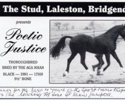 stallion Poetic Justice xx (Thoroughbred, 1981, from High Top xx)