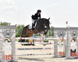 jumper Gilithyia VLS (KWPN (Royal Dutch Sporthorse), 2011, from VDL Groep Zagreb)