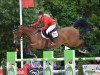 broodmare Chacenny (Oldenburg show jumper, 2007, from Chacco-Blue)