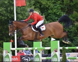 broodmare Chacenny (Oldenburg show jumper, 2007, from Chacco-Blue)