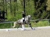 jumper Lord Lahnstein 2 (German Sport Horse, 2018, from Lahnstein 4)