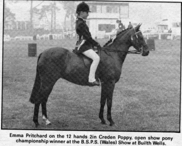 Pferd Creden Poppy (British Riding Pony, 1976, von Creden Valhalla)