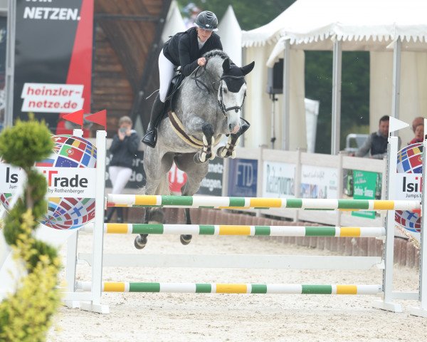 jumper Odine M (German Sport Horse, 2018, from Vingino)