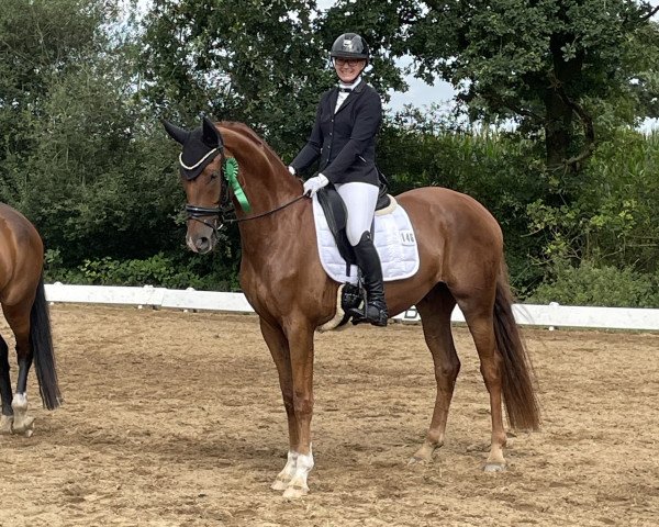 dressage horse Fort Knox 14 (Rhinelander, 2018, from Feinrich)