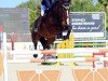 jumper Rolo Os (anglo european sporthorse, 2017, from Candy de Nantuel)