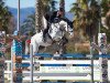 jumper Emmylou (Oldenburg show jumper, 2013, from Cabachon)