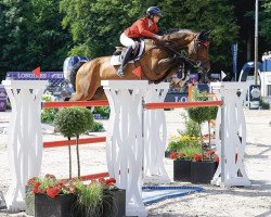 jumper Chaccieny (Oldenburg show jumper, 2009, from Chacco-Blue)