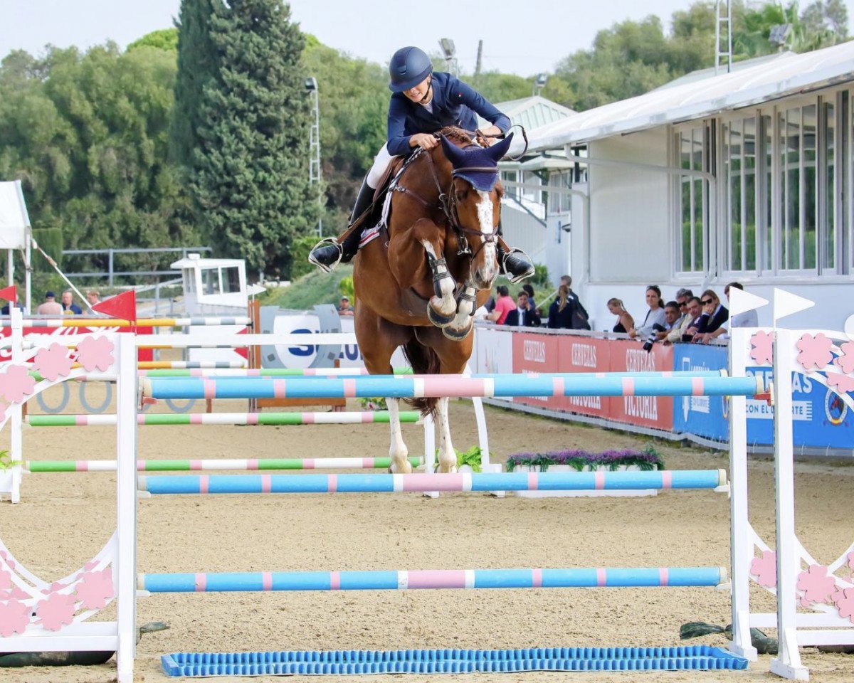 Springpferd Lerskovs Balouna (Dänisches Warmblut, 2015, von Balou du Rouet)