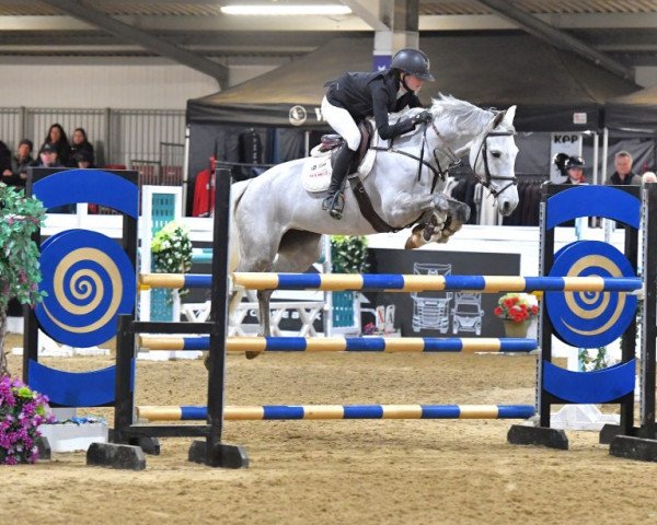 jumper Pixie (anglo european sporthorse, 2014, from Cevin Z)