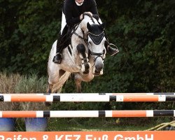 jumper River Lady 11 (Belgian Warmblood, 2017, from Lavallino Ter Klomp)