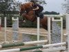 jumper Milky Way (German Riding Pony, 2017, from The Braes My Mobility)