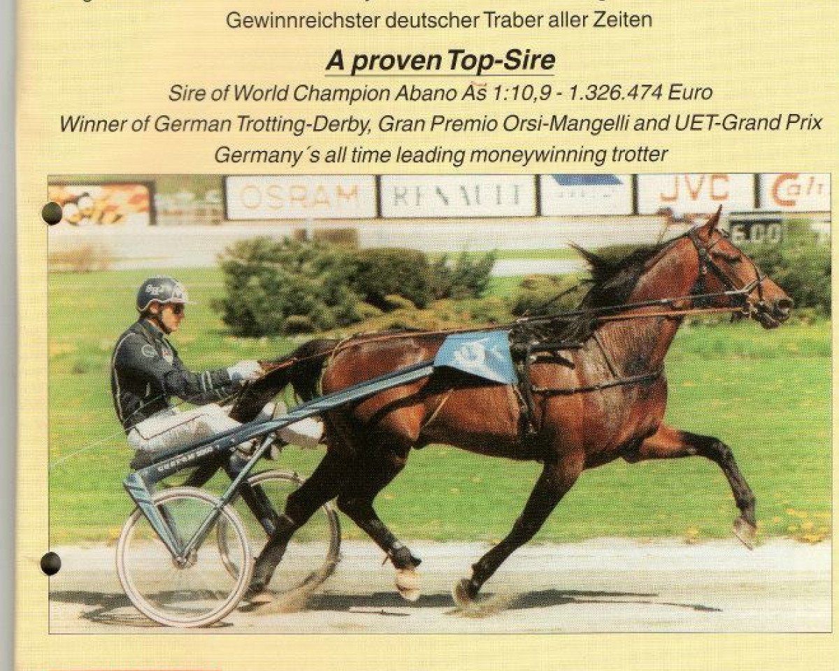 Deckhengst Dylan Lobell JA-485 (US) (Amerikanischer Traber, 1991, von Speedy Somolli 155AS (US))