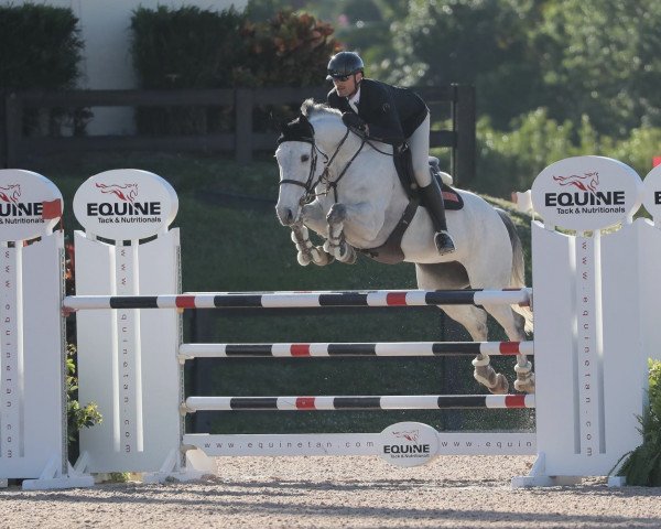 Springpferd Gatika du Bois des Mazuis (Belgium Sporthorse, 2012, von Malito de Reve)