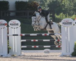 jumper Gatika du Bois des Mazuis (Belgium Sporthorse, 2012, from Malito de Reve)