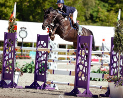 jumper Desterly (KWPN (Royal Dutch Sporthorse), 2008, from Tolan R)