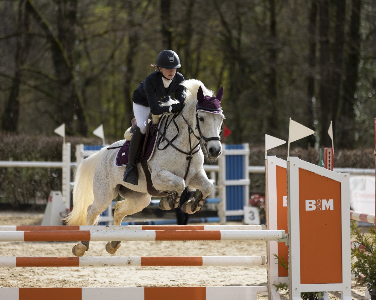 jumper Lakeside Grainne (Connemara Pony, 2010, from I Love You Melody)
