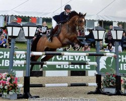 Springpferd Faith (KWPN (Niederländisches Warmblut), 2010, von Breitling LS)