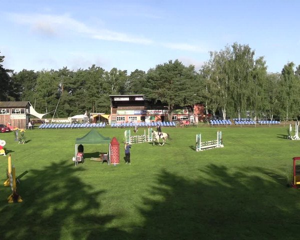 Reitturnier Dannenberg 2023