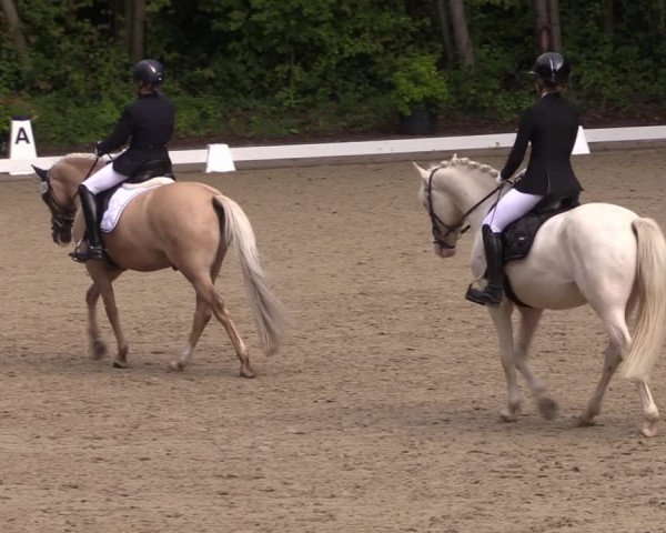 Reitturnier Köln-Flittard (Scheuerhof) 2023