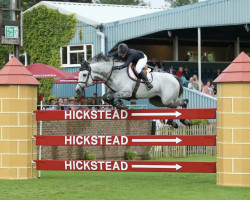 jumper Caristo VDL (KWPN (Royal Dutch Sporthorse), 2007, from Silverstone)