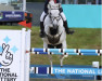 jumper Teach Mor Joey (Connemara Pony, 2011, from Castle Knight)