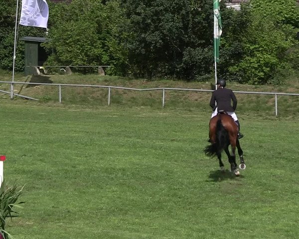Reitturnier Dannenberg 2023