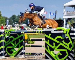 jumper Kalinka van't Zorgvliet (Belgian Warmblood, 2010, from Thunder van de Zuuthoeve)