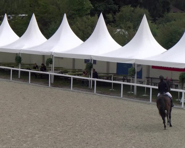 Reitturnier Bülach 2023