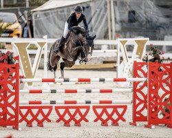 jumper Lorentzh2 (KWPN (Royal Dutch Sporthorse), 2016, from El Salvador)