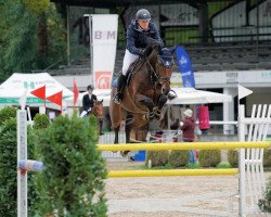 Springpferd Quintane vd Roshoeve (Belgisches Warmblut, 2016, von Vannan)