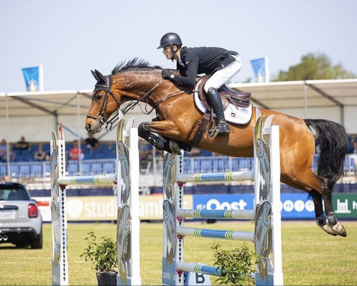jumper Feliek-H (KWPN (Royal Dutch Sporthorse), 2010, from Azteca VDL)