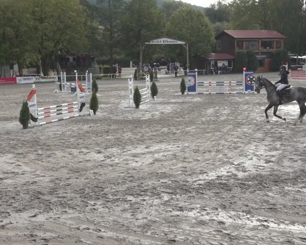 Reitturnier Richelsdorf 2023
