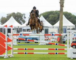 Springpferd Kerswin van 't Roosakker (Belgisches Warmblut, 2010, von Echo van het Spieveld)