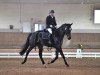 dressage horse Dark Coolness (Hanoverian, 2018, from Daytona)