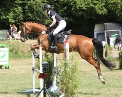 jumper Heidediamant (Trakehner, 2016, from Perfekt 60)