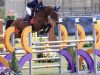 jumper Quadea (Hanoverian, 2009, from Quintender 2)