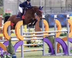 jumper Quadea (Hanoverian, 2009, from Quintender 2)