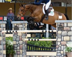 jumper Corneel (KWPN (Royal Dutch Sporthorse), 2007, from Cristallo I)