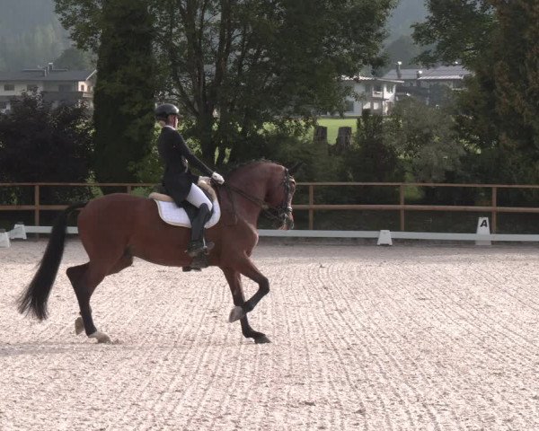 Reitturnier St. Ulrich am Pillersee 2023