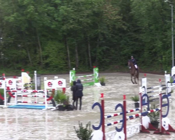 Reitturnier Köln-Flittard (Scheuerhof) 2023