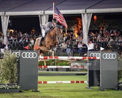 Springpferd Nice van't Zorgvliet (Belgisches Warmblut, 2013, von Emerald van 't Ruytershof)