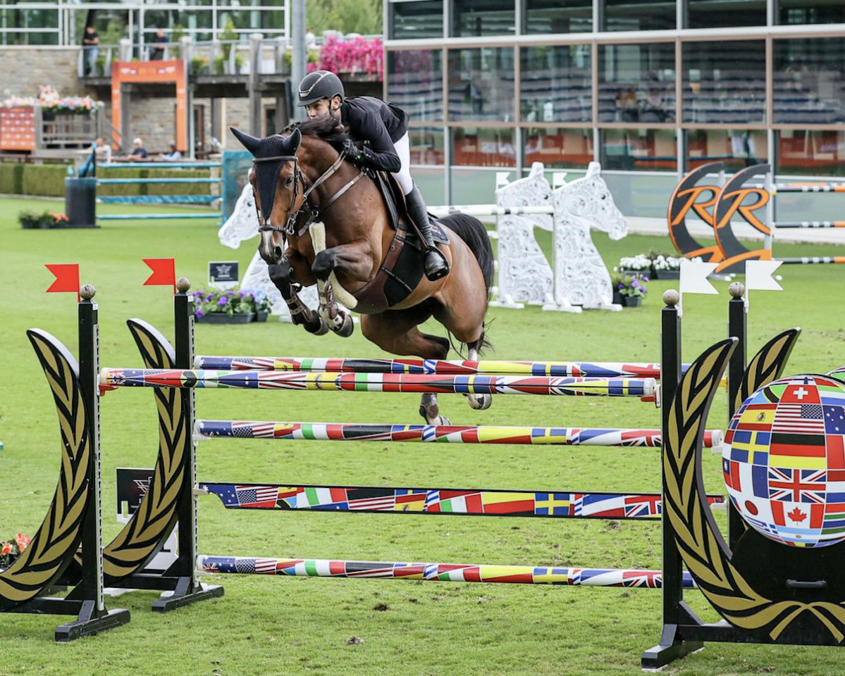 jumper Karamella (KWPN (Royal Dutch Sporthorse), 2015, from Plot Blue)