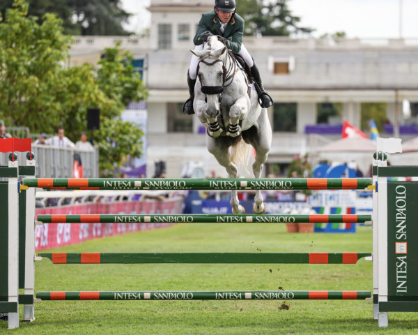 Springpferd James Kann Cruz (Irish Sport Horse, 2013, von Kannan)
