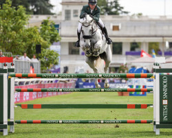 jumper James Kann Cruz (Irish Sport Horse, 2013, from Kannan)