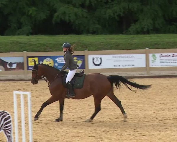 Reitturnier Tiefenhof 2023
